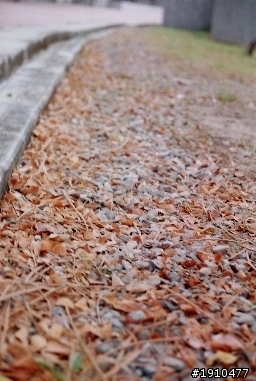 第一次拍底片