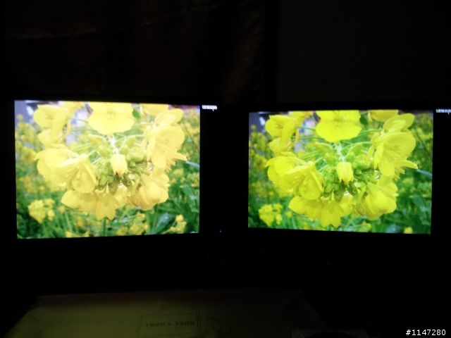 DELL U2412M 漏光問題,這樣該退換嗎?