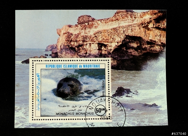 開運鑑定團--邀集各方集郵高手協助鑑定 （圖多）