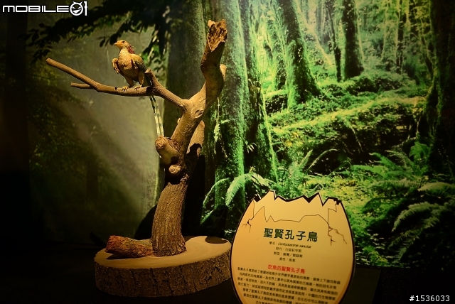D800拍高雄科工館恐龍展，嘗試以色溫調白平衡。