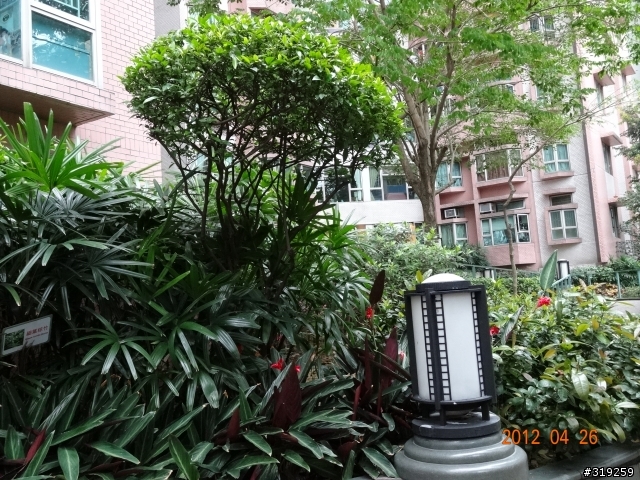 SONY DSC-HX30V 隨意拍