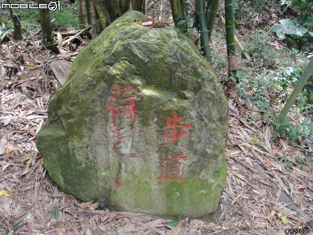20120421  荷苞山賞桐登山階梯步道