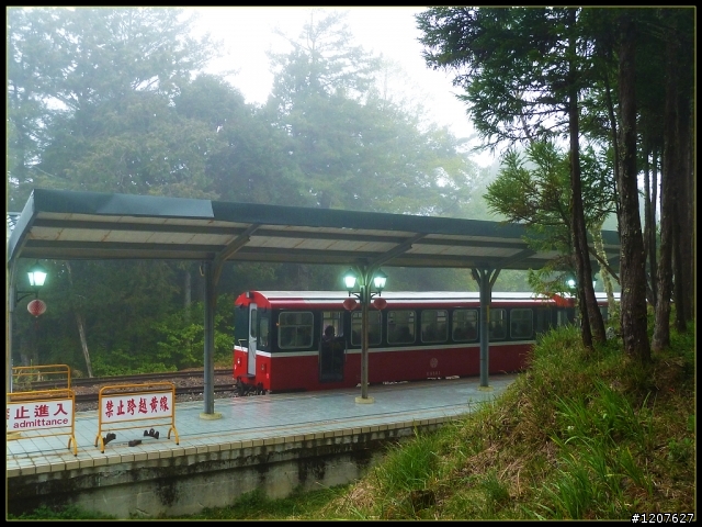 2012.04.01_機車△_阿里山櫻花、雲海、日出