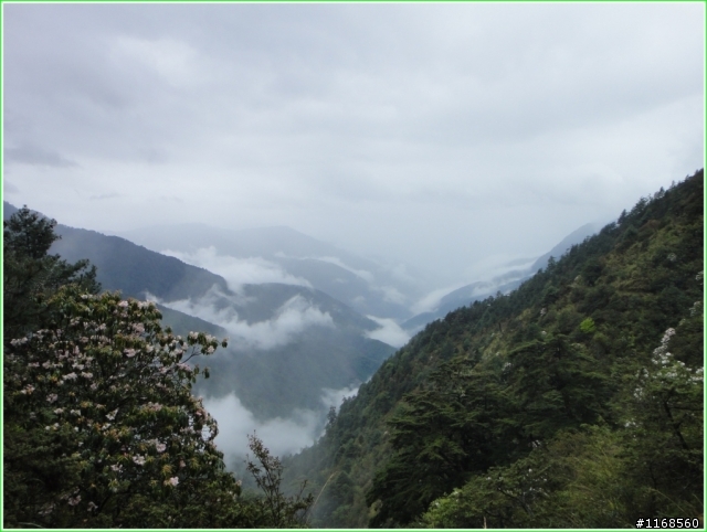 給自己的退休禮物----玉山登頂