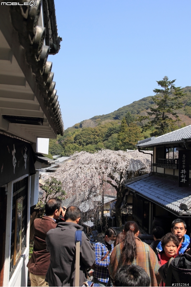 4/7-4/13關西7天6夜賞櫻鐵腿行day02