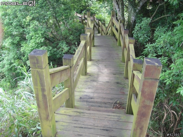 20120421  荷苞山賞桐登山階梯步道