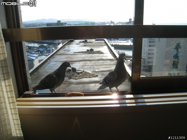 2012.03.31~04.04北海道暴風雪行(圖多、字多)