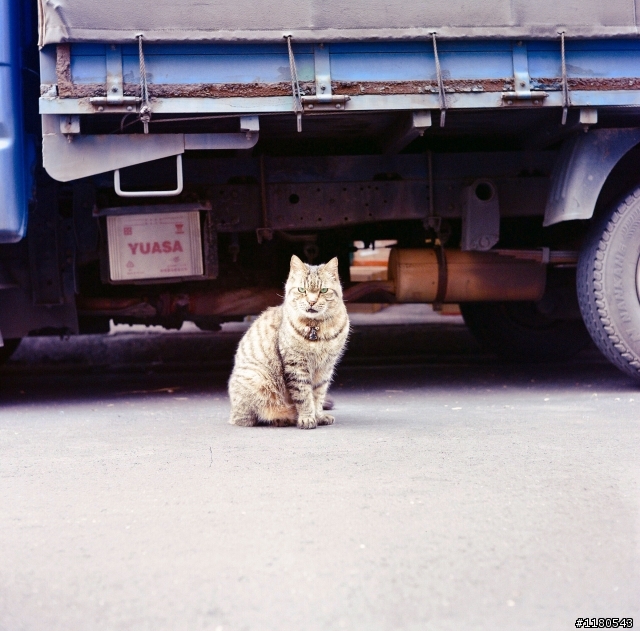 Mamiya C33 80mm f2.8