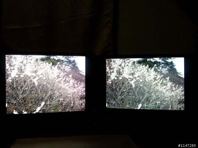 DELL U2412M 漏光問題,這樣該退換嗎?