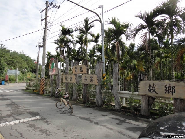 2012活力日月潭，美利達單車好行，