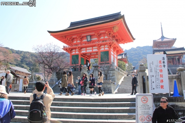 4/7-4/13關西7天6夜賞櫻鐵腿行day02