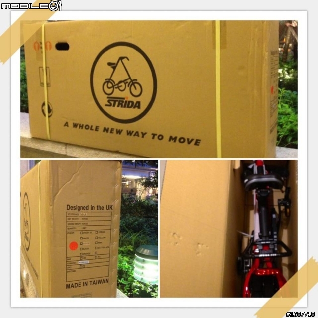 STRIDA小黑/小紅開箱不露點不專業寫真+亂亂拍