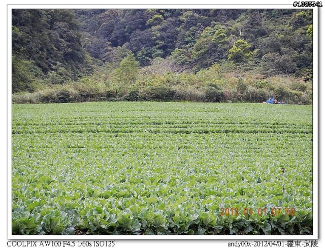 2012-04-01/04羅東-武陵-梨山-合歡山-埔里--單車四日行