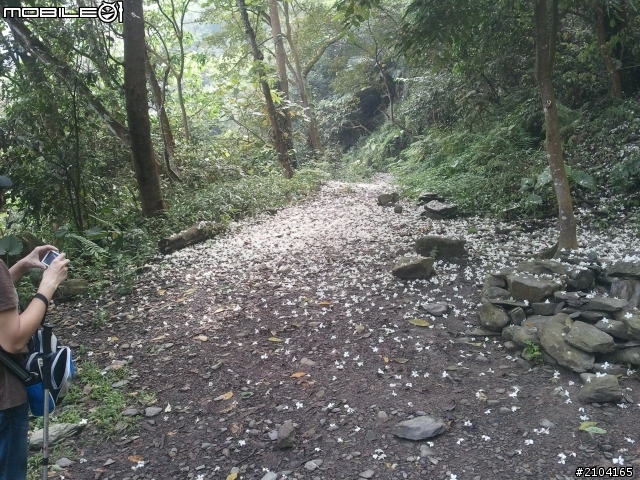 屏東縣尾寮山