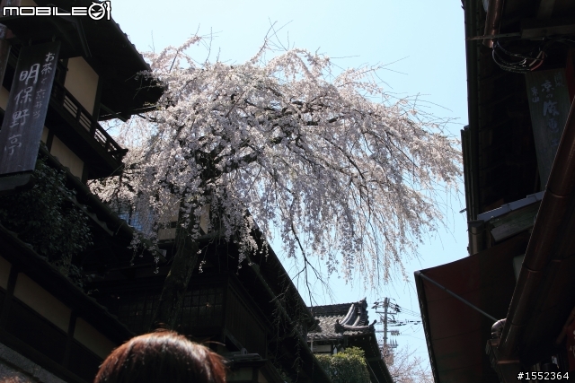 4/7-4/13關西7天6夜賞櫻鐵腿行day02