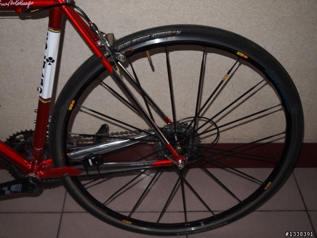 分享 我的可樂果 colnago