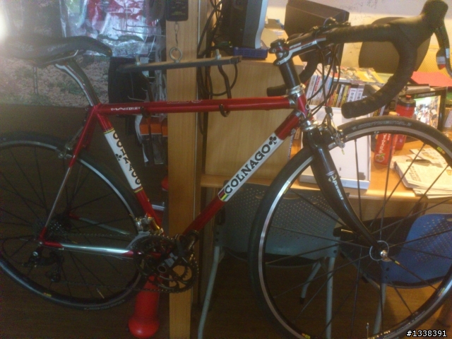 分享 我的可樂果 colnago