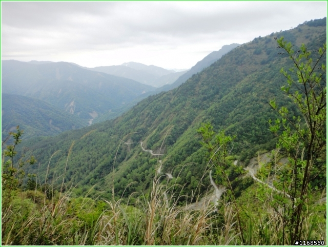 給自己的退休禮物----玉山登頂