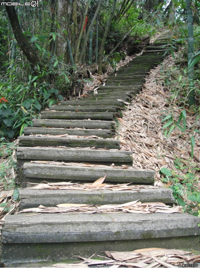 20120421  荷苞山賞桐登山階梯步道