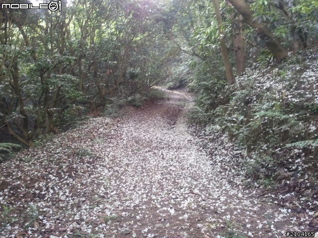 屏東縣尾寮山