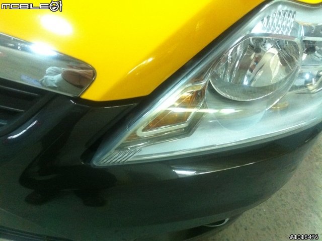 車禍了! 當小柴佛撞小柴佛