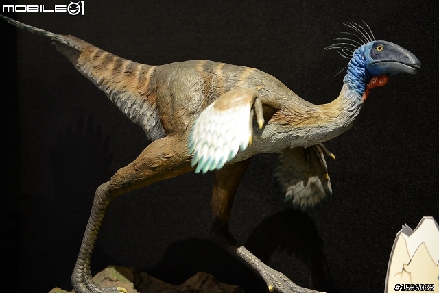 D800拍高雄科工館恐龍展，嘗試以色溫調白平衡。