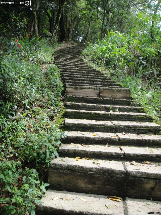 20120421  荷苞山賞桐登山階梯步道