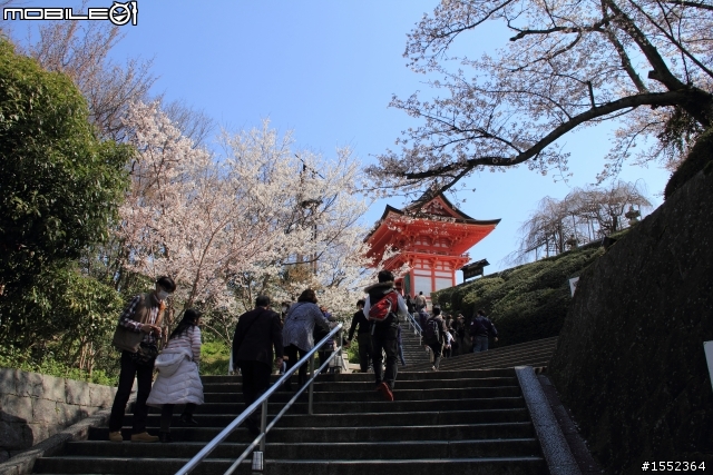 4/7-4/13關西7天6夜賞櫻鐵腿行day02