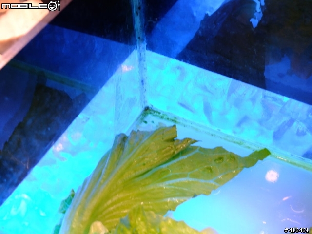 (4/19新增照片)請問鍋大爺 鍋太郎 燒肉大將等(興樂達餐飲有限公司)有客訴的管道嗎??