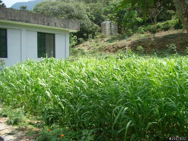 2012-4-23屏東舊達來部落石板屋探訪(順遊高雄六龜逍遙行)