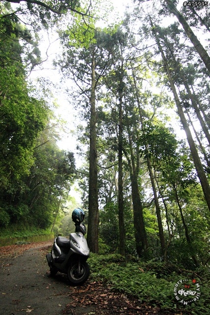 2012-04-14 新竹青蛙石, 水田林道鰻潭瀑布閒晃
