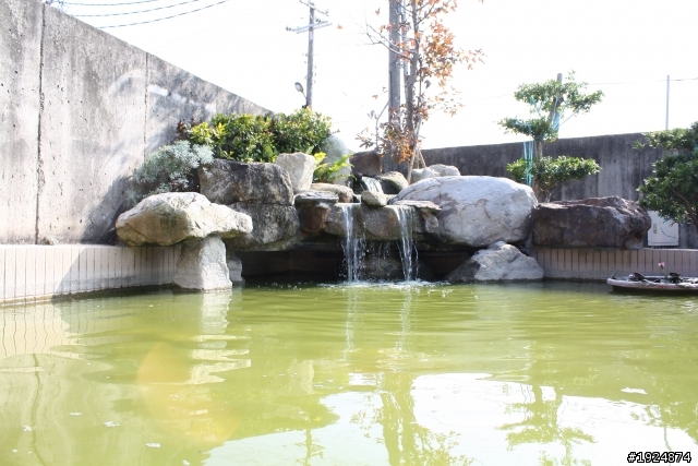 DIY水池過濾系統