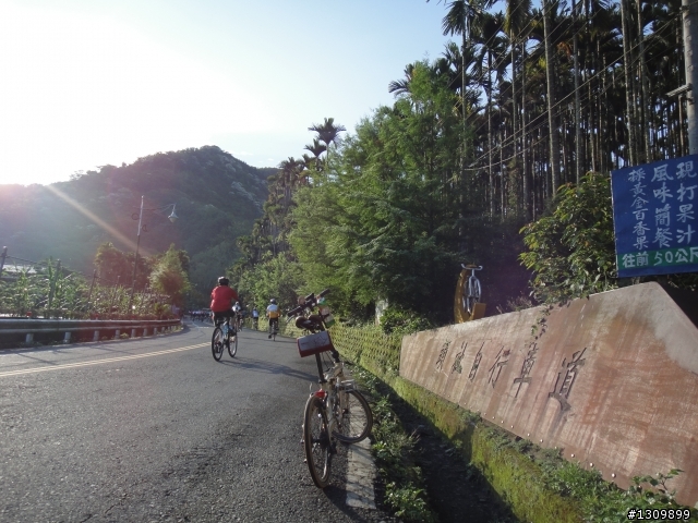2012活力日月潭，美利達單車好行，