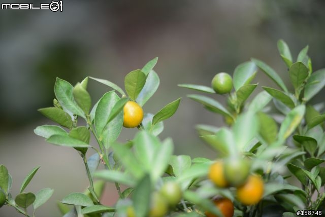 D800 開"箱"