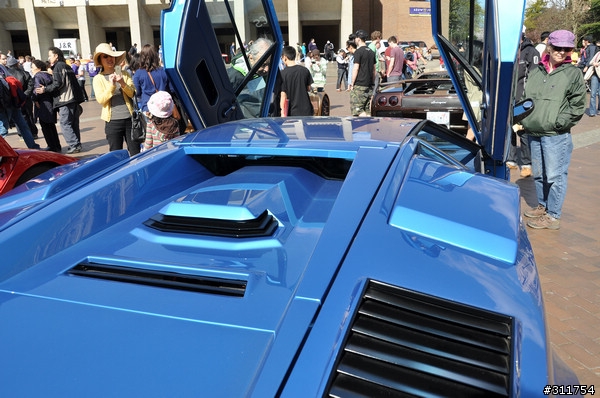 牛群車展