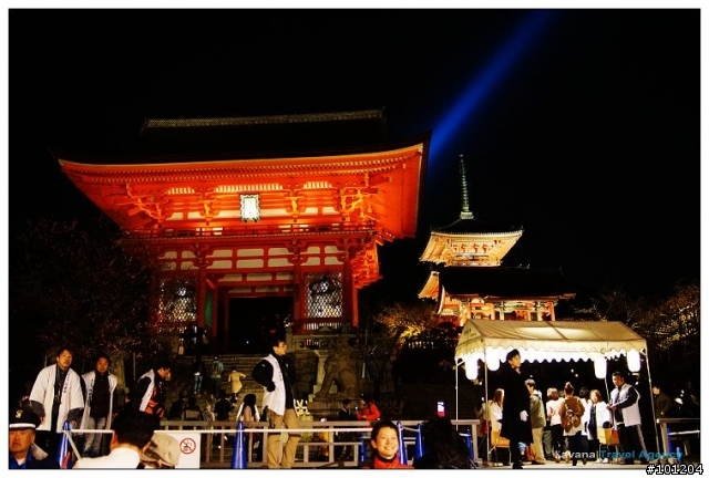 ＜春。京都花見＞清水寺夜間特別拜觀。夜櫻之美 無須滿開。