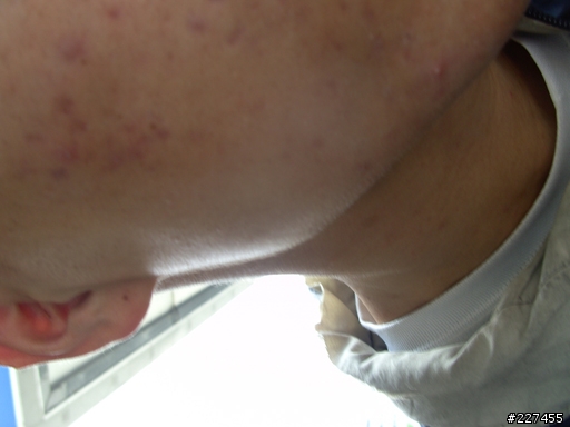 2012-04-08~12 臨時起意環島行