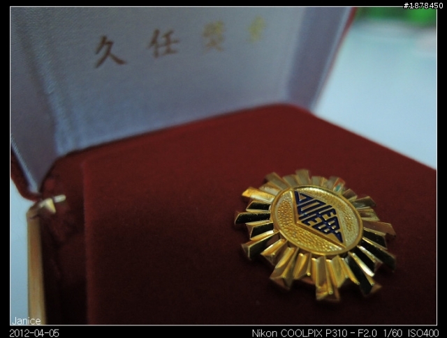 【 Nikon COOLPIX P310 】 一起來蓋大樓吧 (｡◕‿◕｡)❀