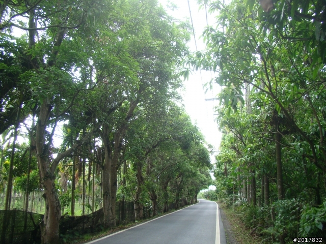 2012-4-23屏東舊達來部落石板屋探訪(順遊高雄六龜逍遙行)