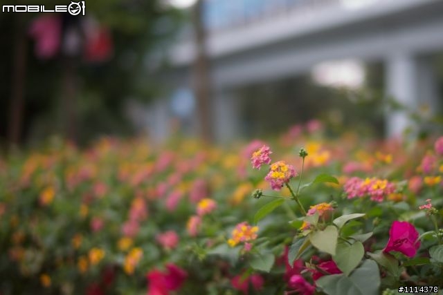 M9-P+M6 無箱開箱......上帝和我開個大玩笑