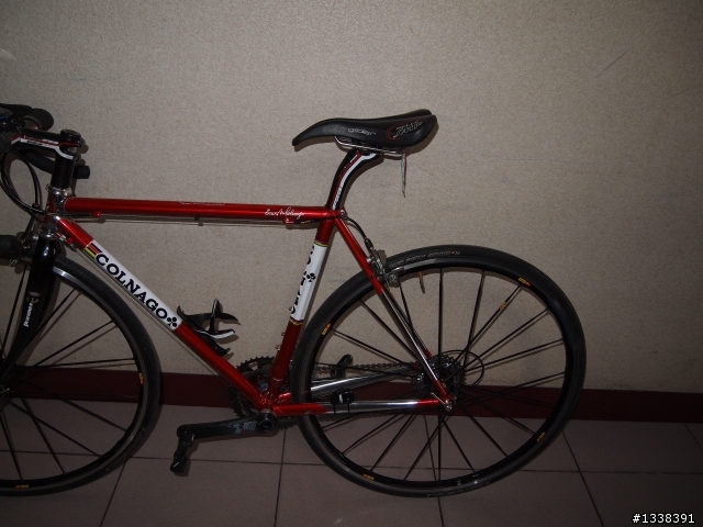 分享 我的可樂果 colnago