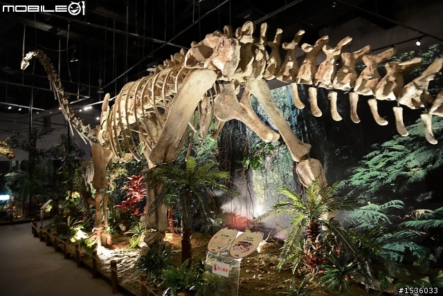 D800拍高雄科工館恐龍展，嘗試以色溫調白平衡。