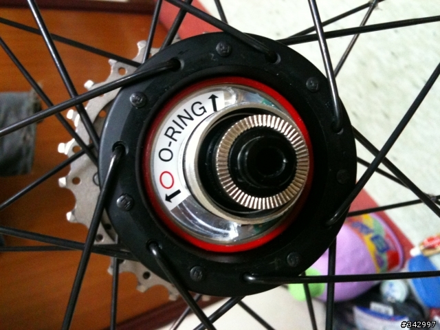 Powertap G3+DT RR415手編輪
