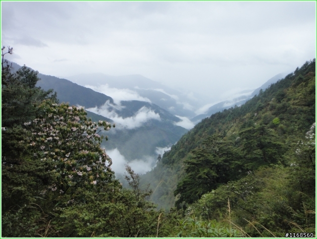 給自己的退休禮物----玉山登頂