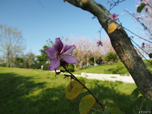 E-M5 ~ [ 12-50mm ]  V.S  [ 14-54mm ]