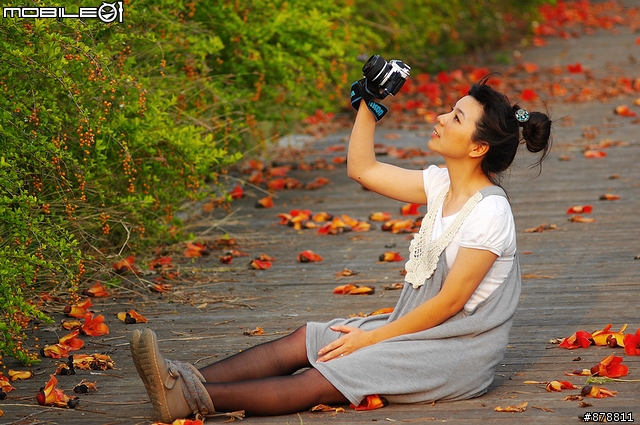 最美的木棉花道-101年林初埤