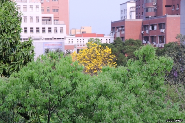 想請DSLR先進賜教，新手剛玩