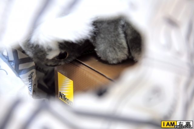 [開箱] 第一次買新鏡頭 Nikon 35mm 1.8G 開箱