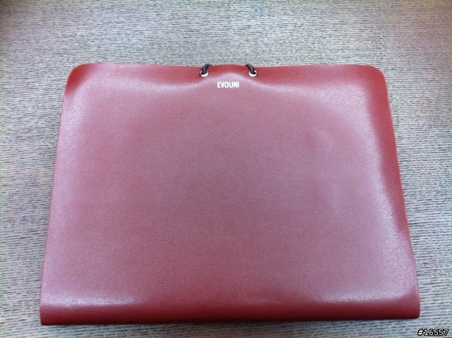 絕美小牛皮New iPad保護套 - Evouni Cover 開箱(多圖)