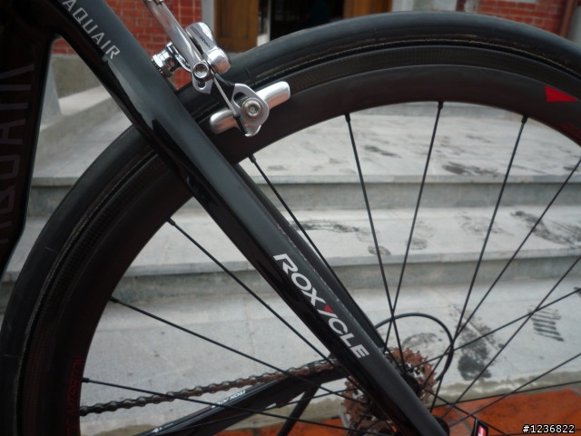 [ 開箱開箱] ROXYCLE 亞洲精工 霧消光與亮碳纖一次滿足